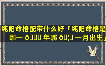 纯阳命格配带什么好「纯阳命格是哪一 🐛 年哪 🦟 一月出生」